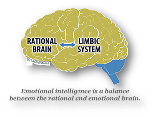 Image: Rational vs Limbic Brain