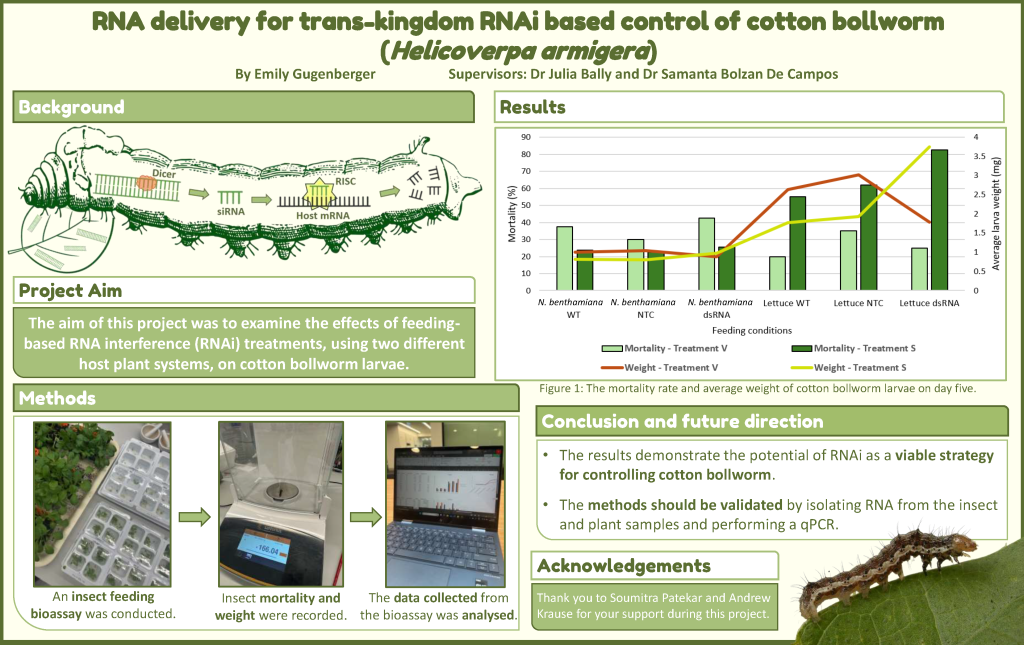Powerpoint slide showcasing the completed research