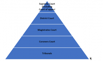 Introduction to Law – CSB338 Ethics and the Law in Health Service Delivery