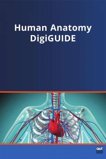 Cover image for Human Anatomy DigiGUIDE (LQB187)