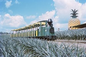 Big Pineapple Queensland